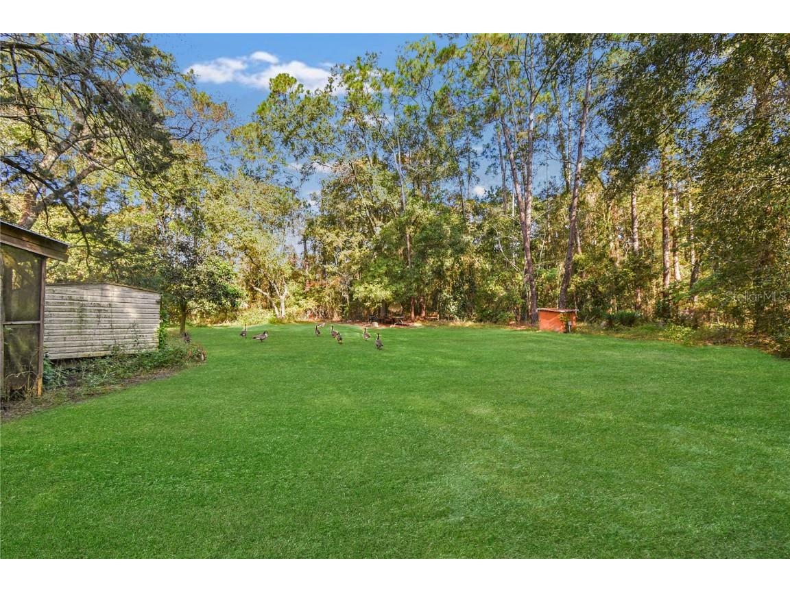 11595 Normandy Boulevard Jacksonville FL 32221 GC535427 image9