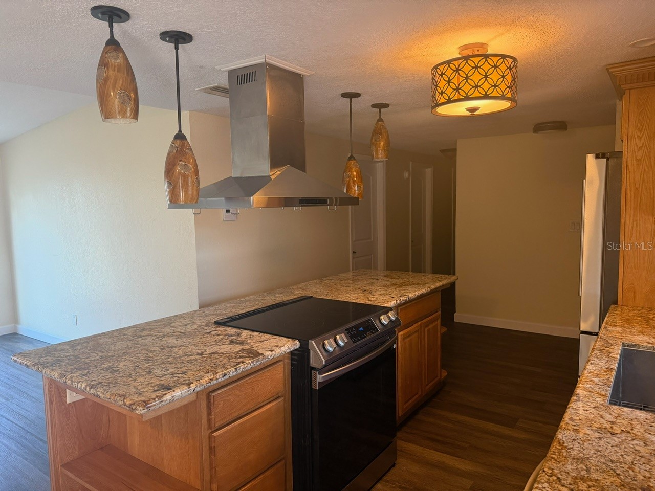 11595 SE 129th Place Ocklawaha FL 32179 OM725488 image4