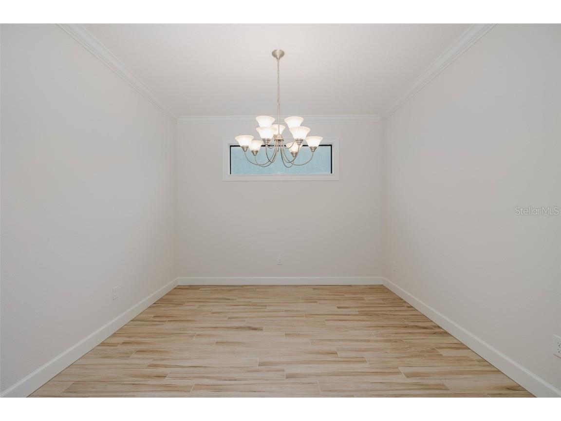 11599 Callisia Drive Odessa FL 33556 W7880552 image22