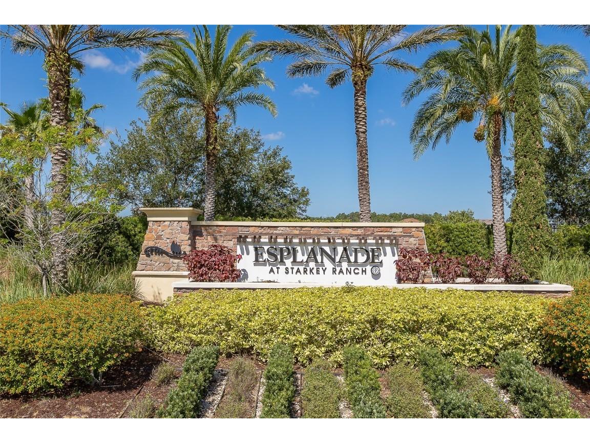 11599 Callisia Drive Odessa FL 33556 W7880552 image3