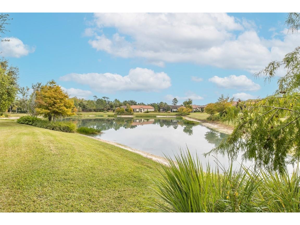 11599 Callisia Drive Odessa FL 33556 W7880552 image4