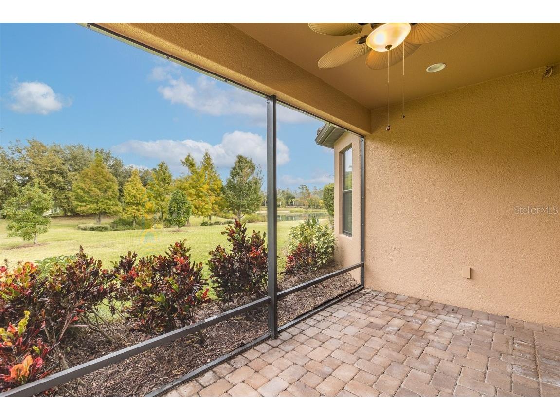 11599 Callisia Drive Odessa FL 33556 W7880552 image46