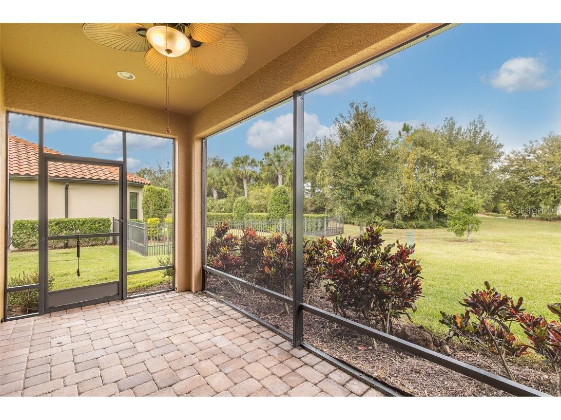 11599 Callisia Drive Odessa FL 33556 W7880552 image47