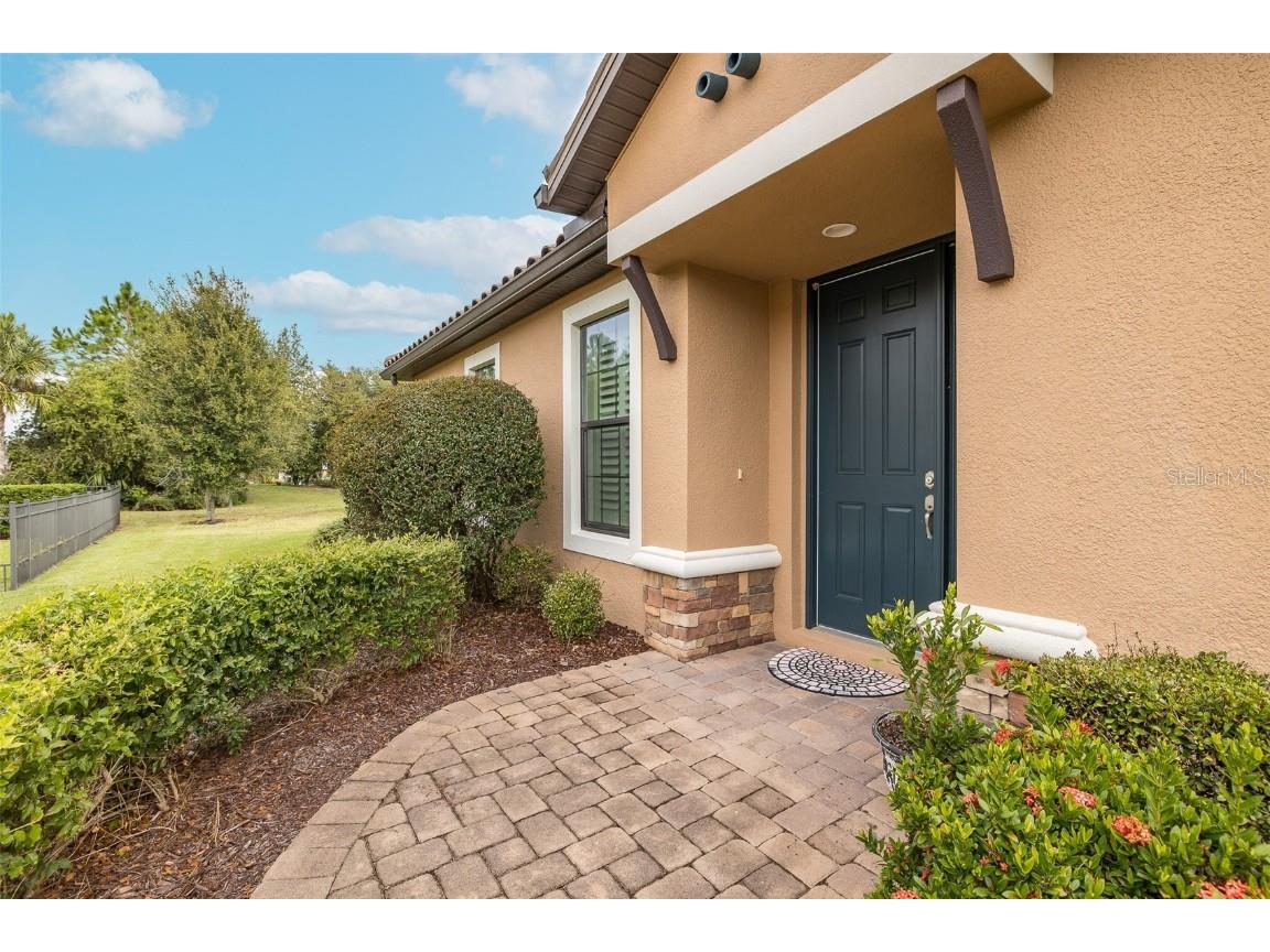 11599 Callisia Drive Odessa FL 33556 W7880552 image5