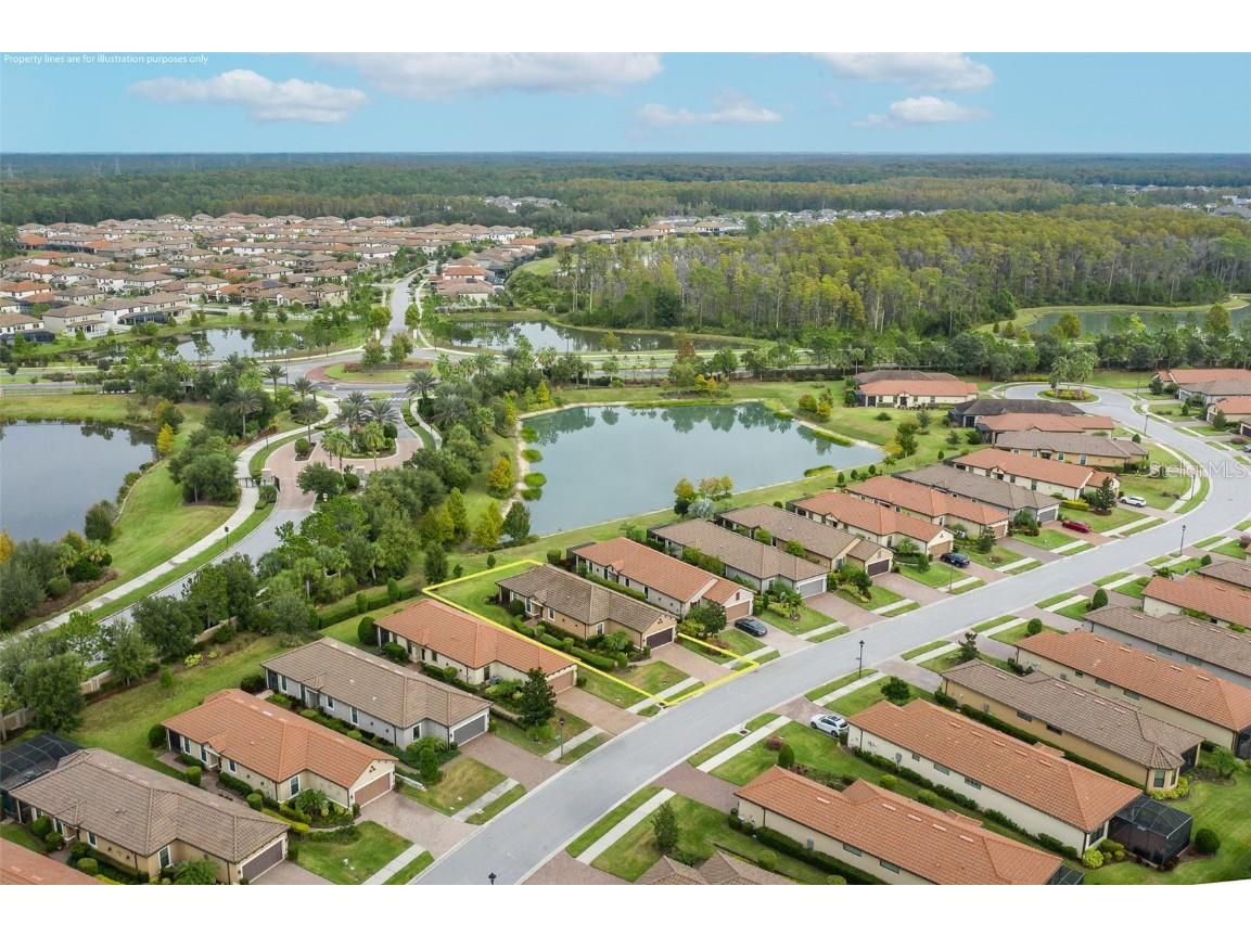 11599 Callisia Drive Odessa FL 33556 W7880552 image51