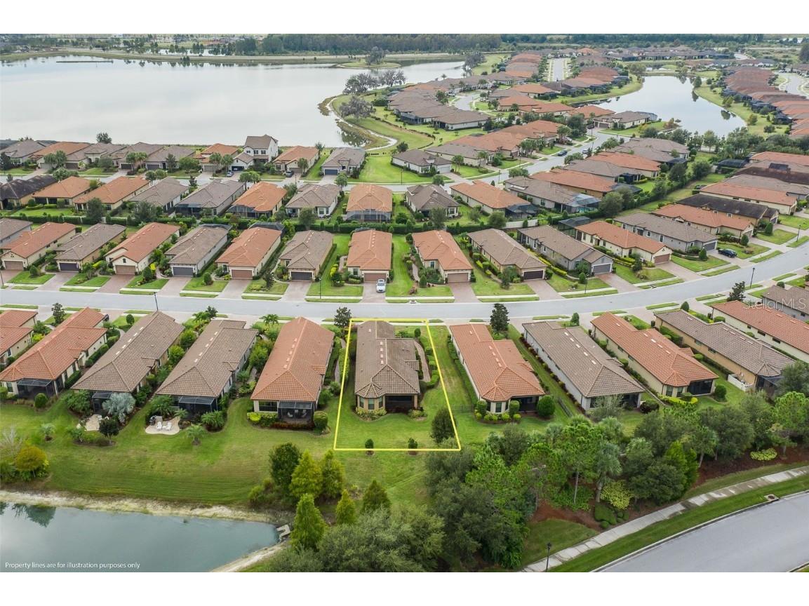 11599 Callisia Drive Odessa FL 33556 W7880552 image53