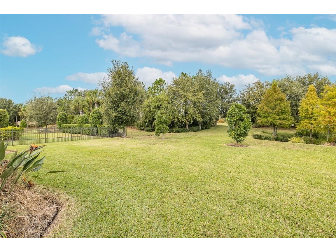 11599 Callisia Drive Odessa FL 33556 W7880552 image57