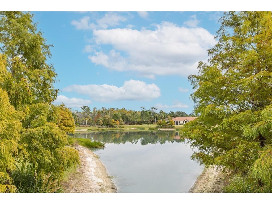 11599 Callisia Drive Odessa FL 33556 W7880552 image58