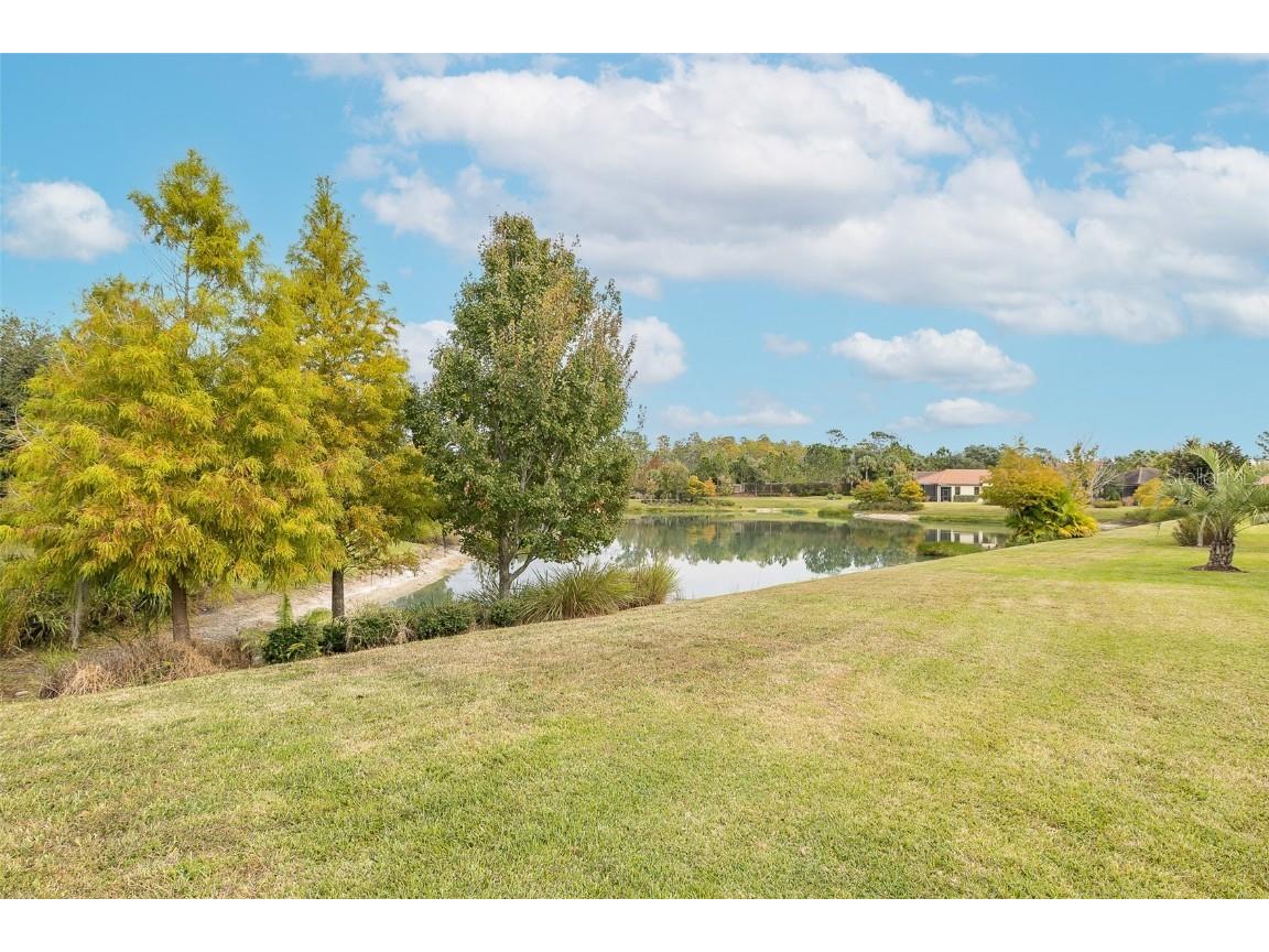 11599 Callisia Drive Odessa FL 33556 W7880552 image59