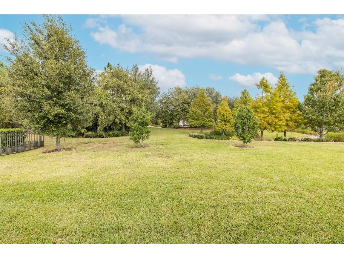 11599 Callisia Drive Odessa FL 33556 W7880552 image60