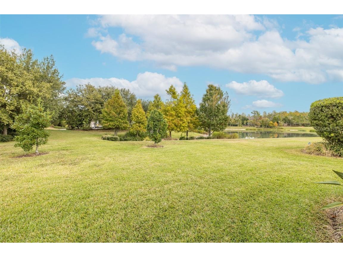 11599 Callisia Drive Odessa FL 33556 W7880552 image61