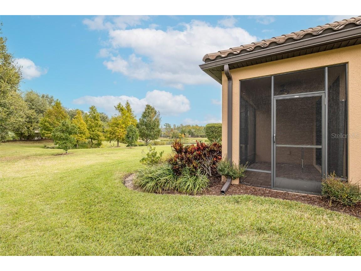 11599 Callisia Drive Odessa FL 33556 W7880552 image62