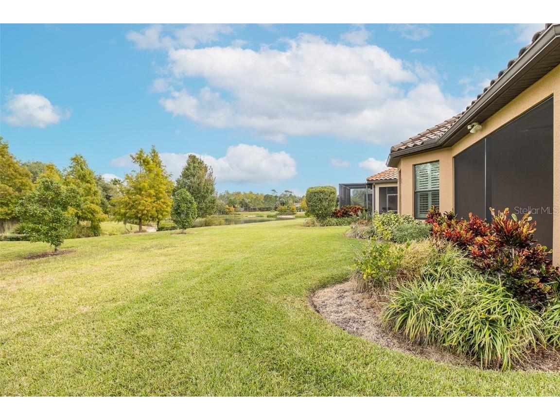 11599 Callisia Drive Odessa FL 33556 W7880552 image63