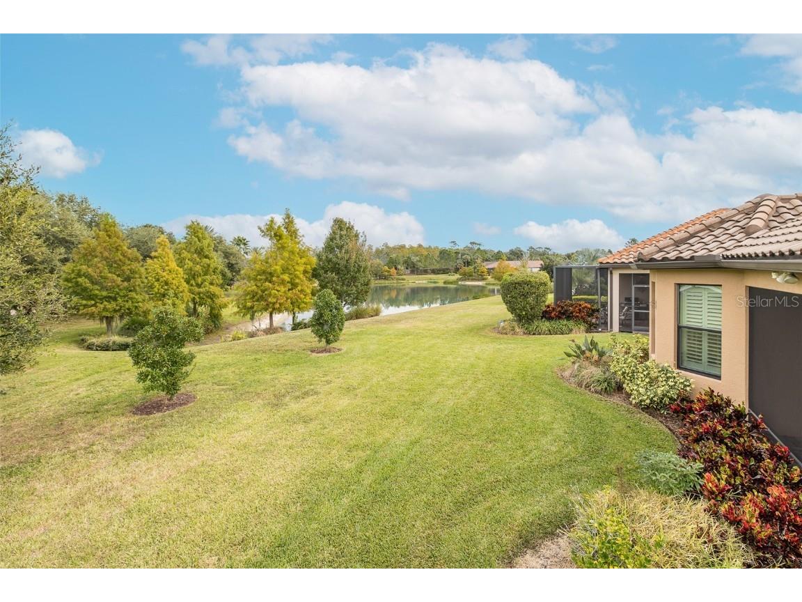 11599 Callisia Drive Odessa FL 33556 W7880552 image64