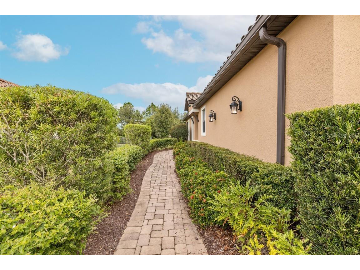 11599 Callisia Drive Odessa FL 33556 W7880552 image73