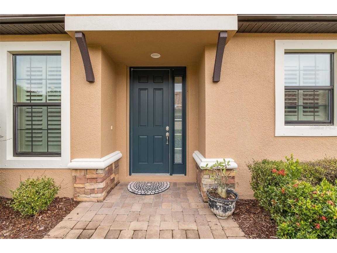 11599 Callisia Drive Odessa FL 33556 W7880552 image74