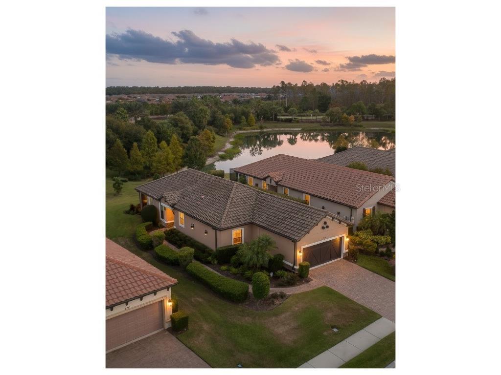 11599 Callisia Drive Odessa FL 33556 W7880552 image75