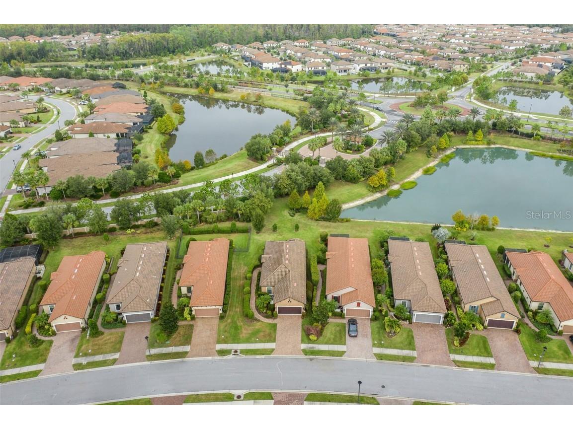 11599 Callisia Drive Odessa FL 33556 W7880552 image76