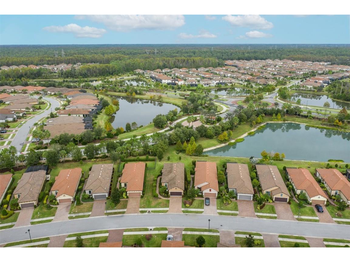 11599 Callisia Drive Odessa FL 33556 W7880552 image77