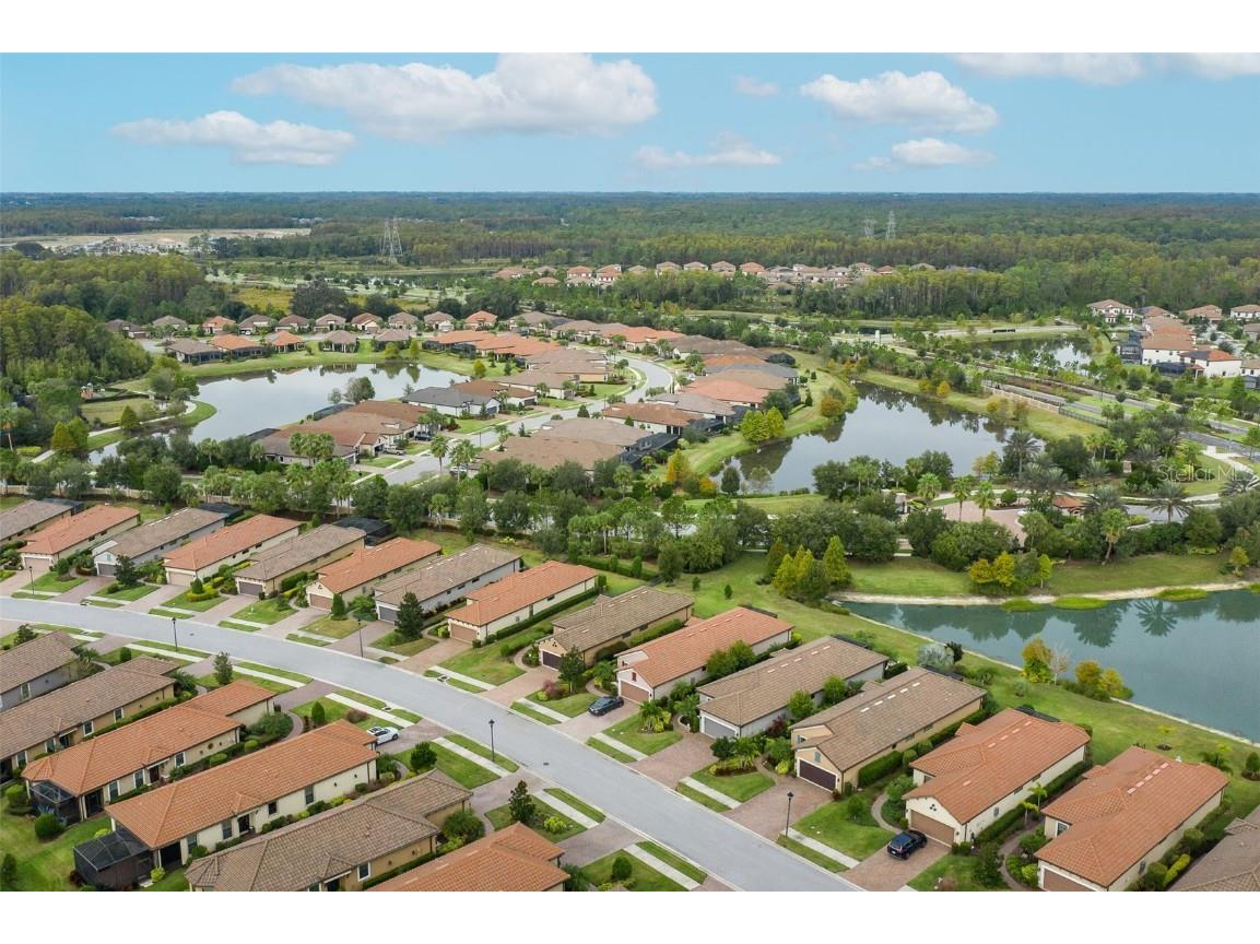 11599 Callisia Drive Odessa FL 33556 W7880552 image79