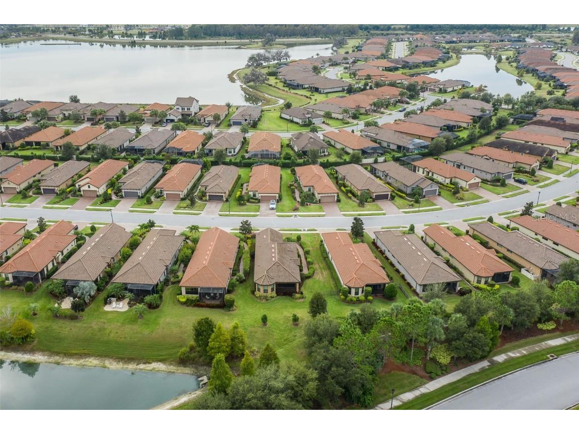 11599 Callisia Drive Odessa FL 33556 W7880552 image80