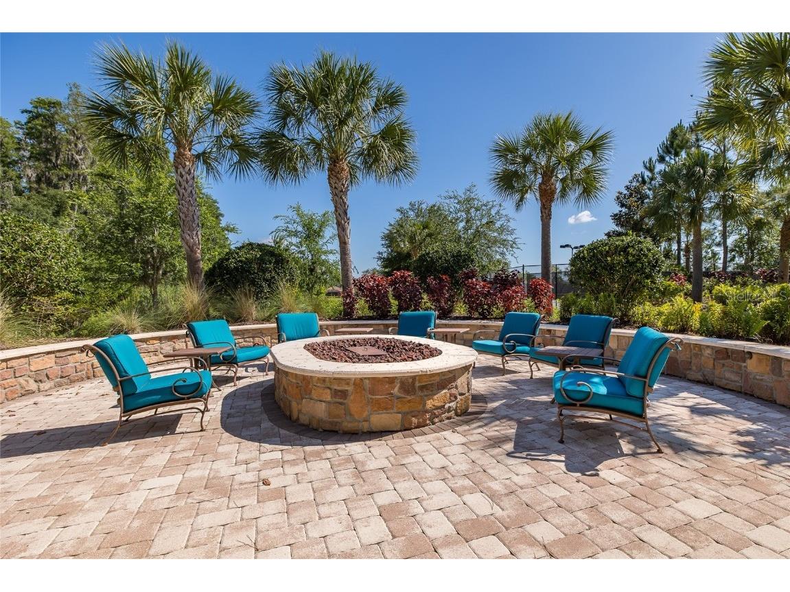 11599 Callisia Drive Odessa FL 33556 W7880552 image86