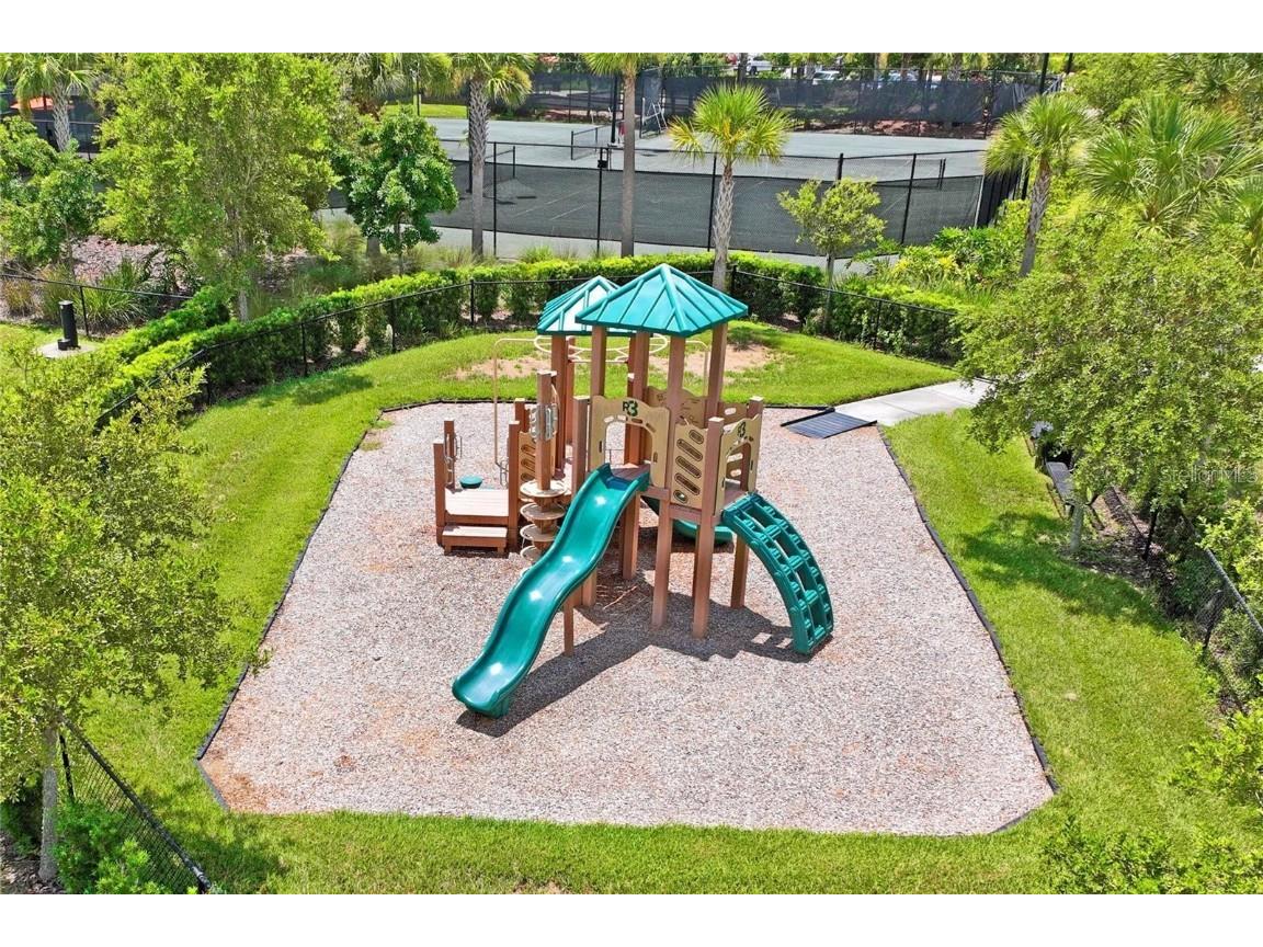 11599 Callisia Drive Odessa FL 33556 W7880552 image88