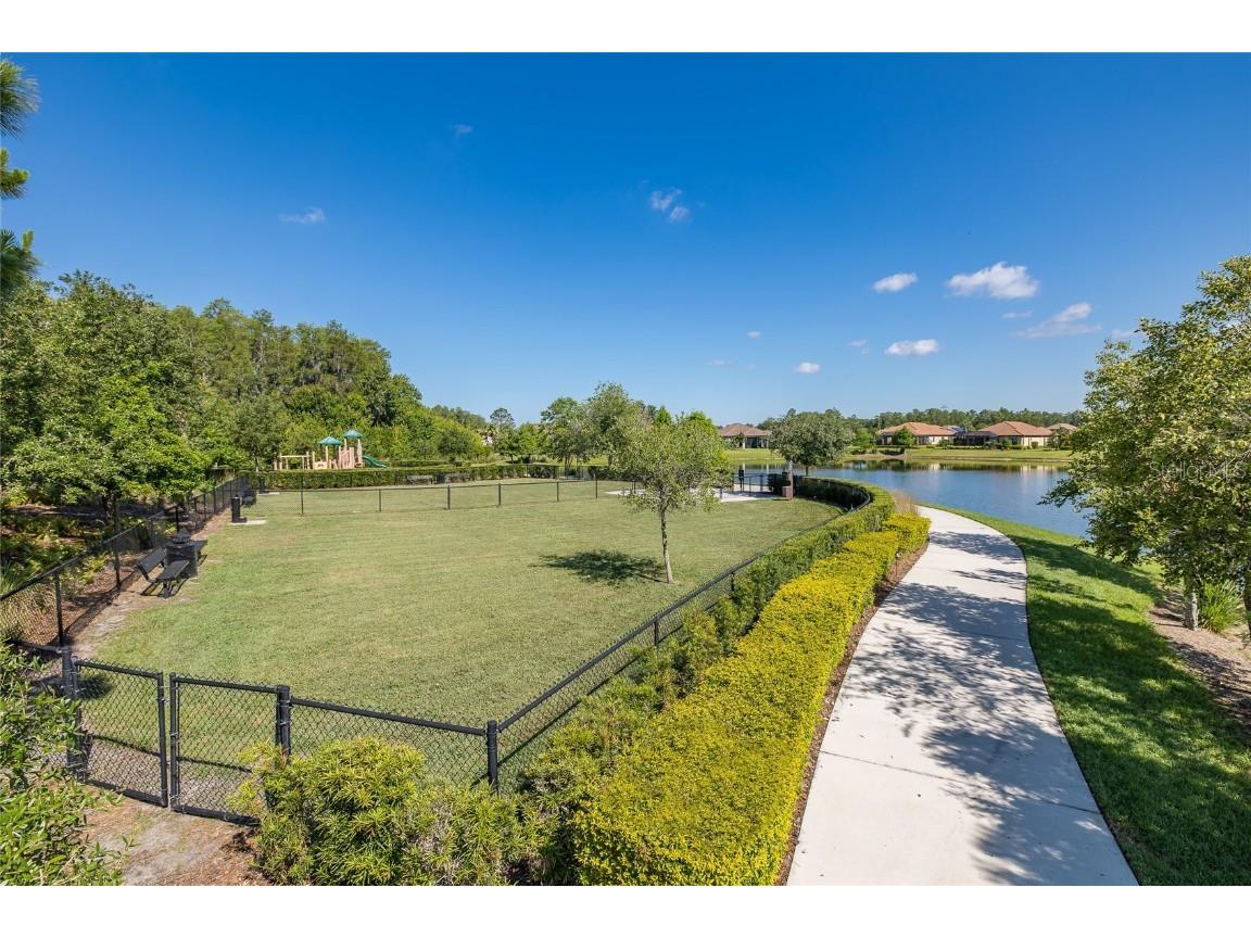 11599 Callisia Drive Odessa FL 33556 W7880552 image89