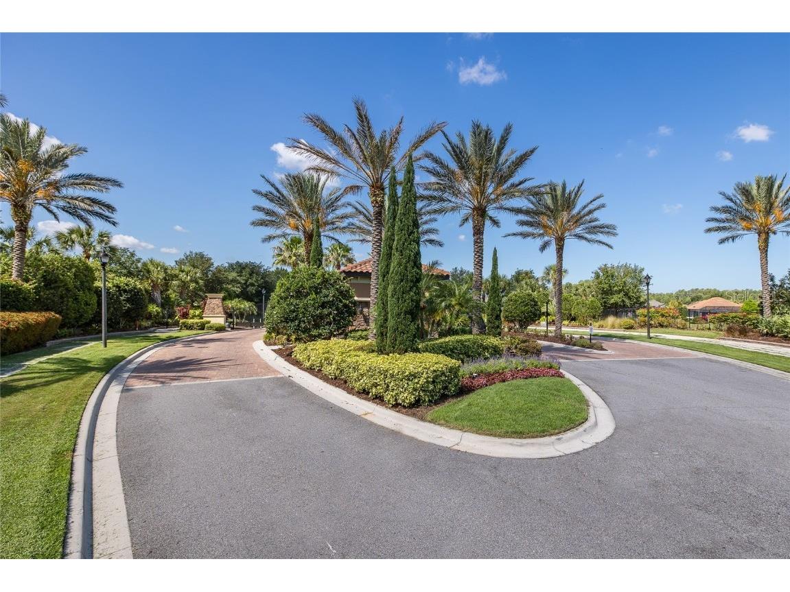 11599 Callisia Drive Odessa FL 33556 W7880552 image91