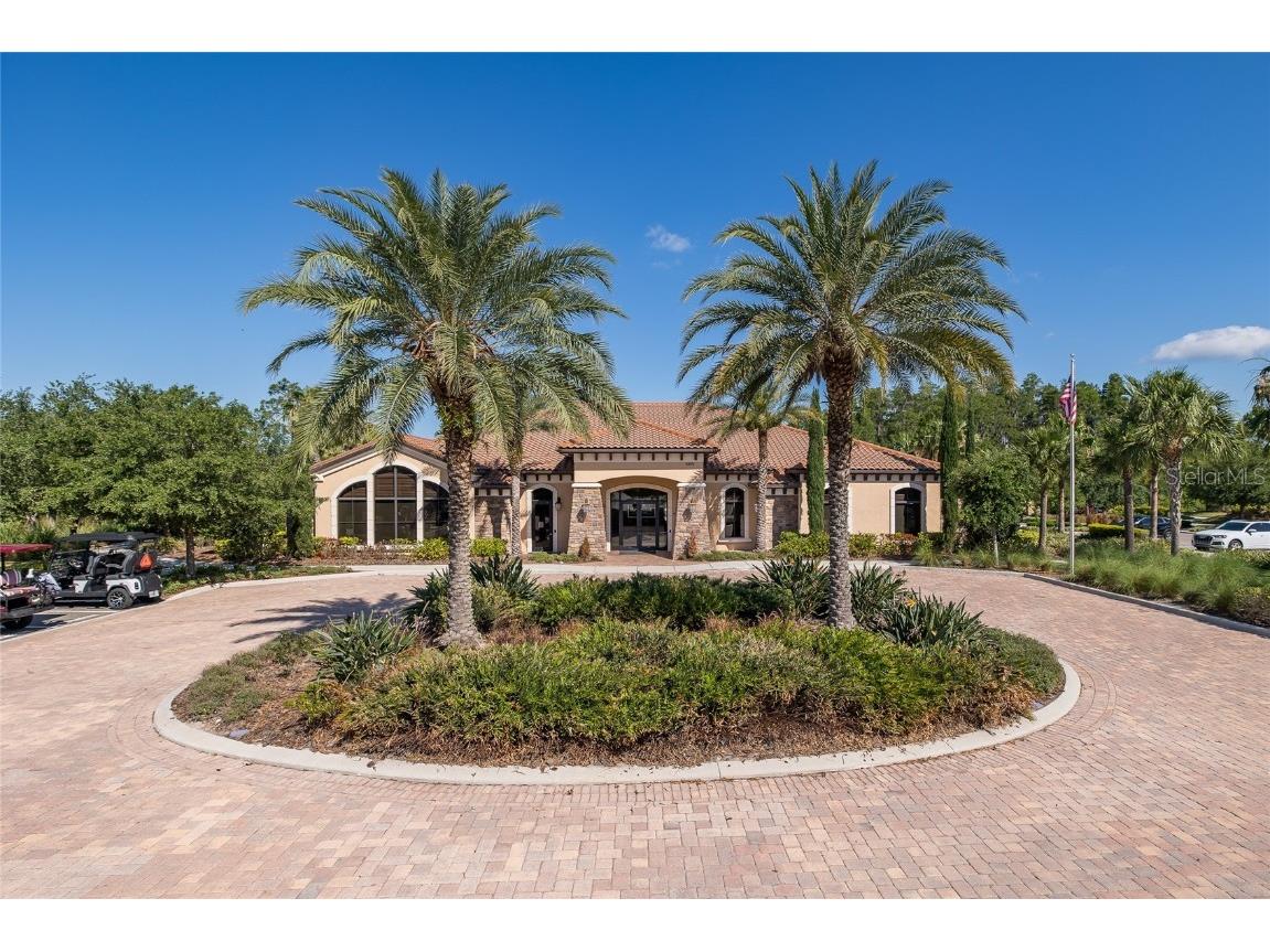 11599 Callisia Drive Odessa FL 33556 W7880552 image98