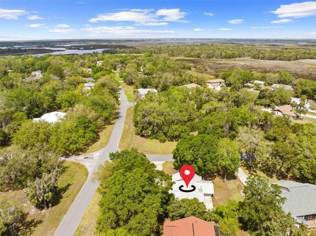 11599 W Timberlane Drive Homosassa FL 34448 TB8362041 image28