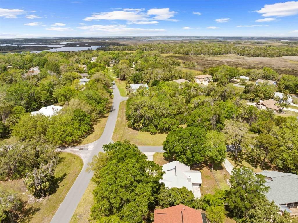 11599 W Timberlane Drive Homosassa FL 34448 TB8362041 image34