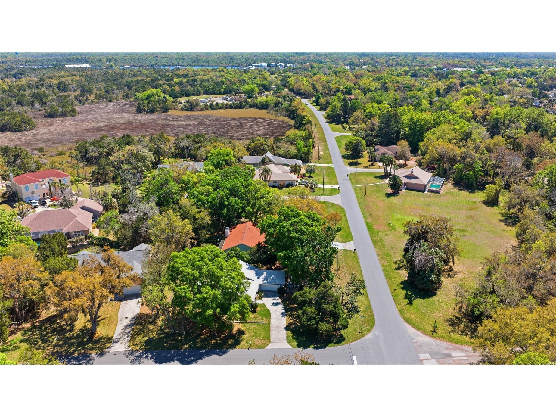 11599 W Timberlane Drive Homosassa FL 34448 TB8487300 image32