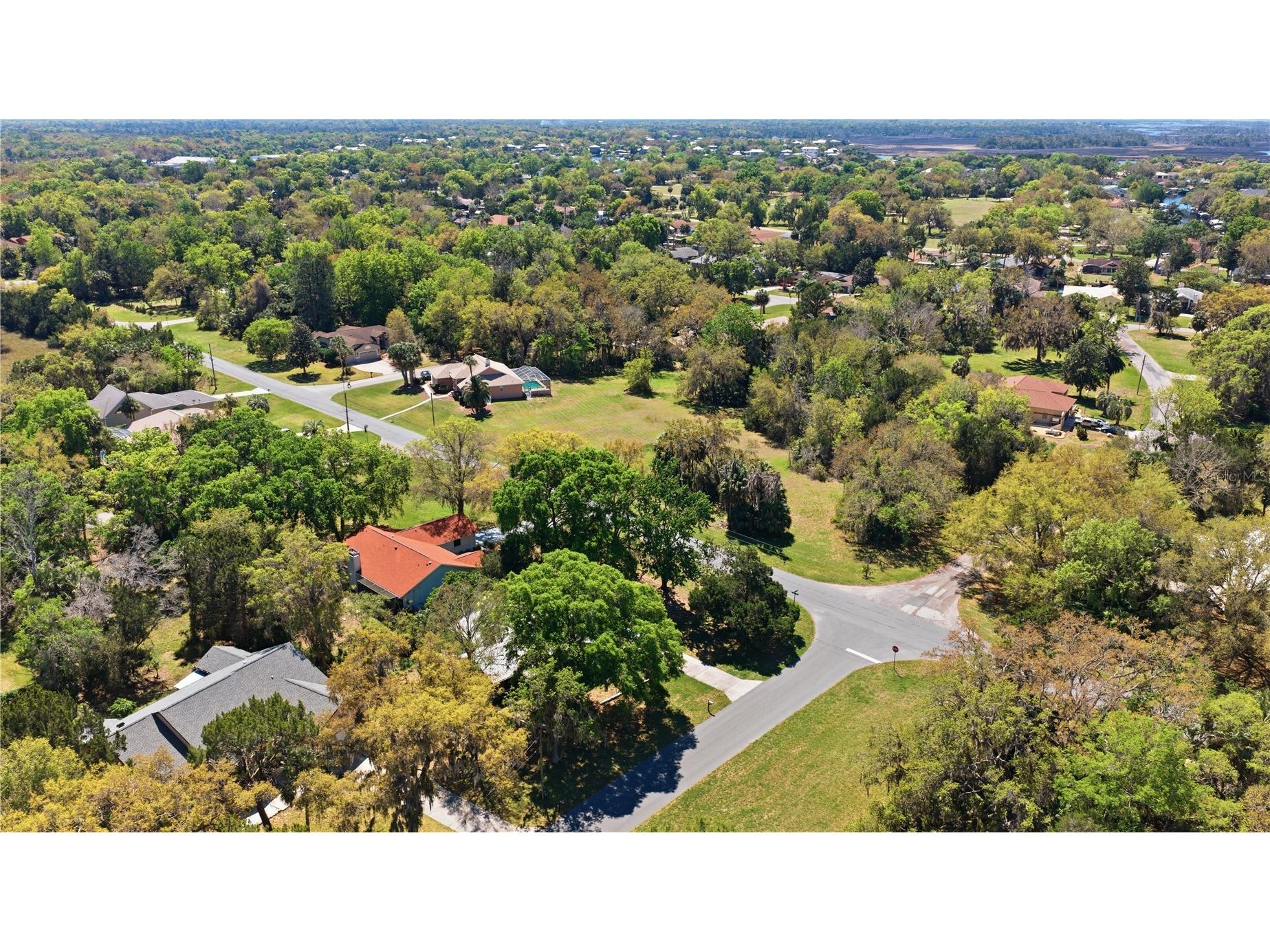 11599 W Timberlane Drive Homosassa FL 34448 TB8487300 image33