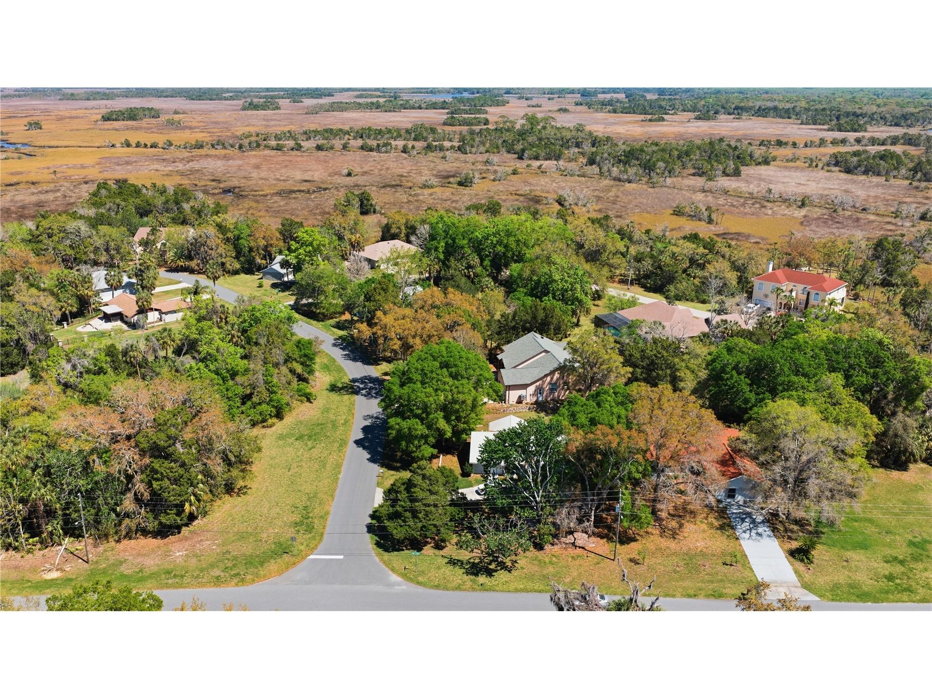 11599 W Timberlane Drive Homosassa FL 34448 TB8487300 image34