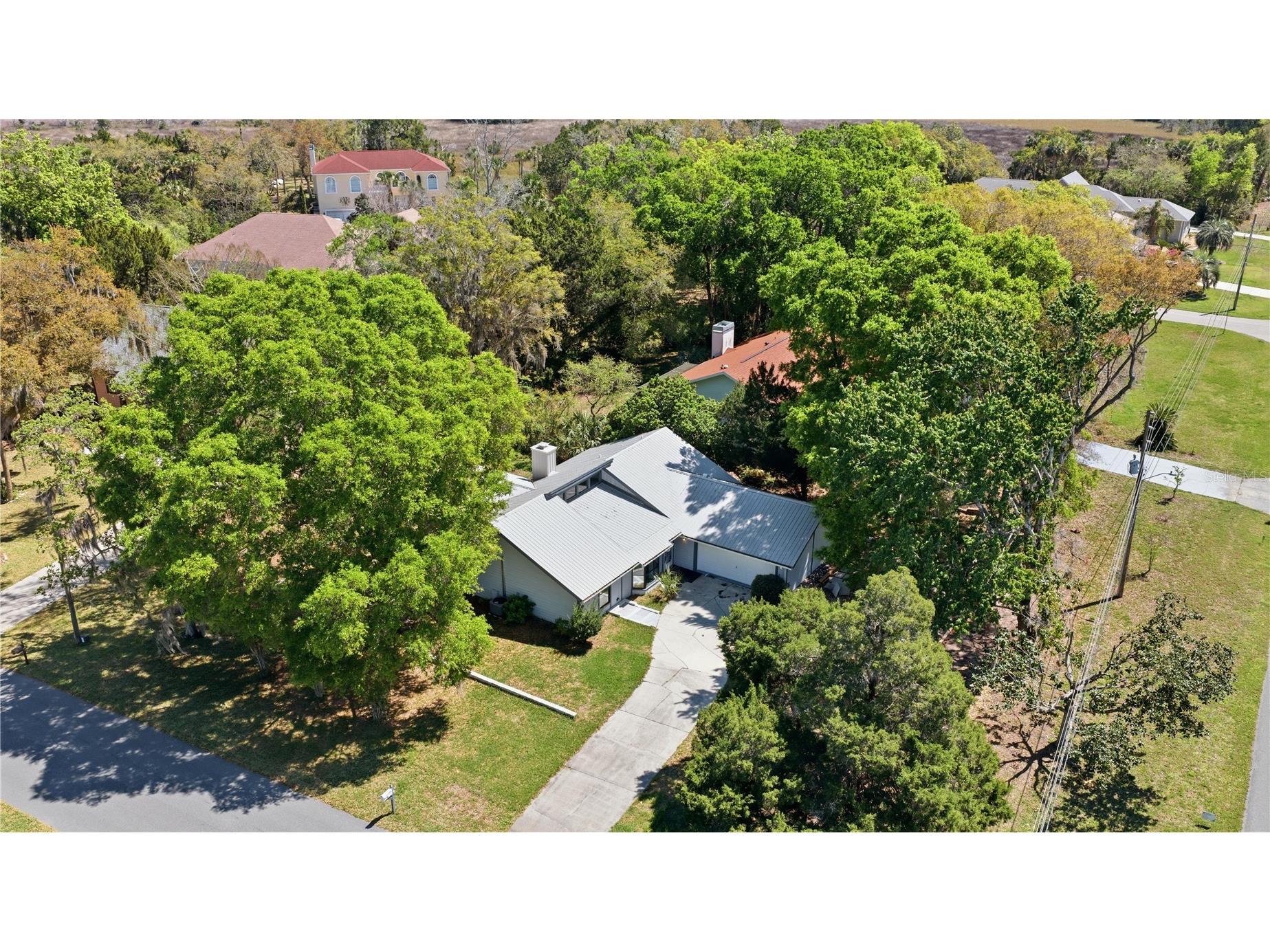 11599 W Timberlane Drive Homosassa FL 34448 TB8487300 image35