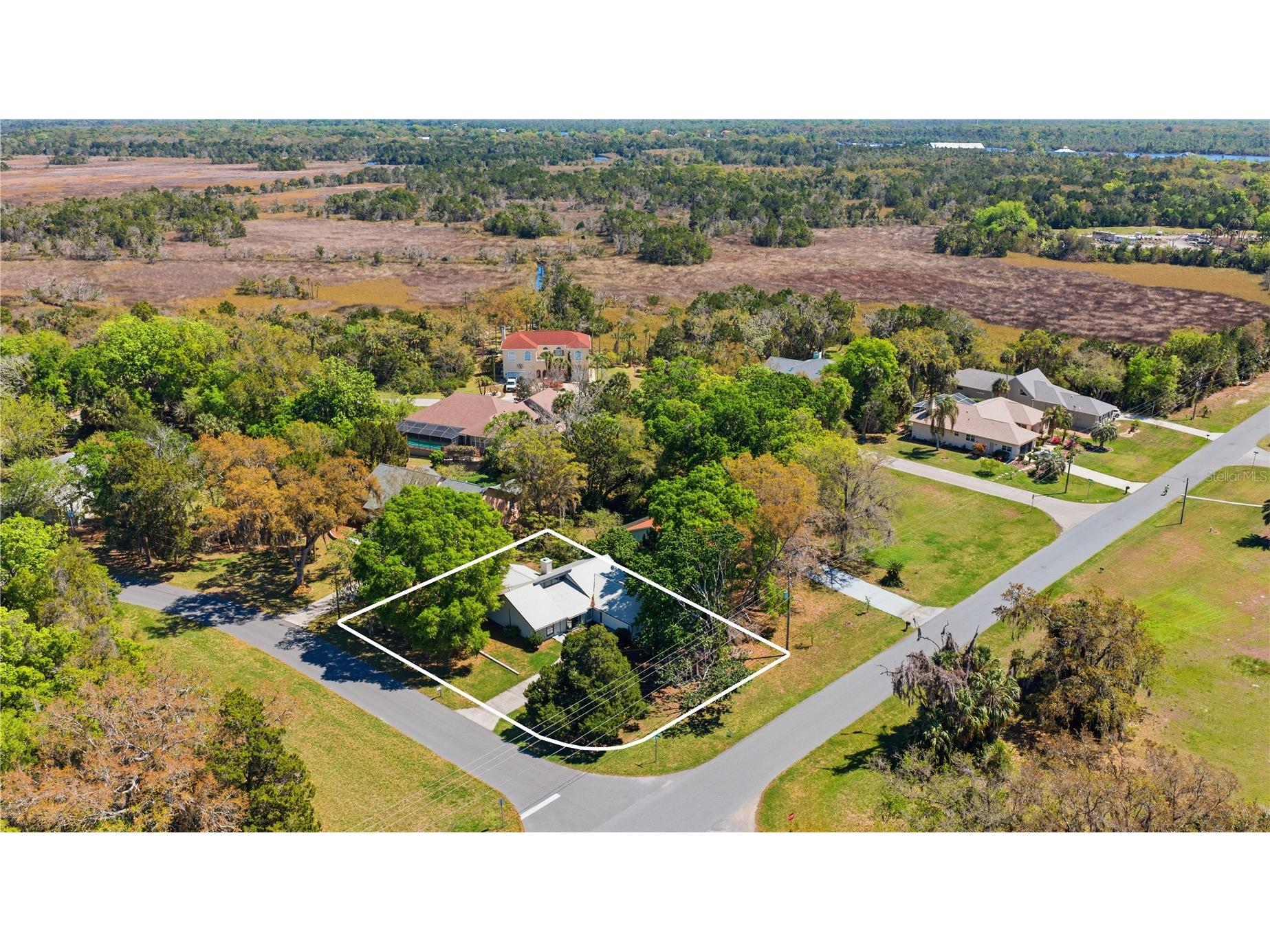 11599 W Timberlane Drive Homosassa FL 34448 TB8487300 image5