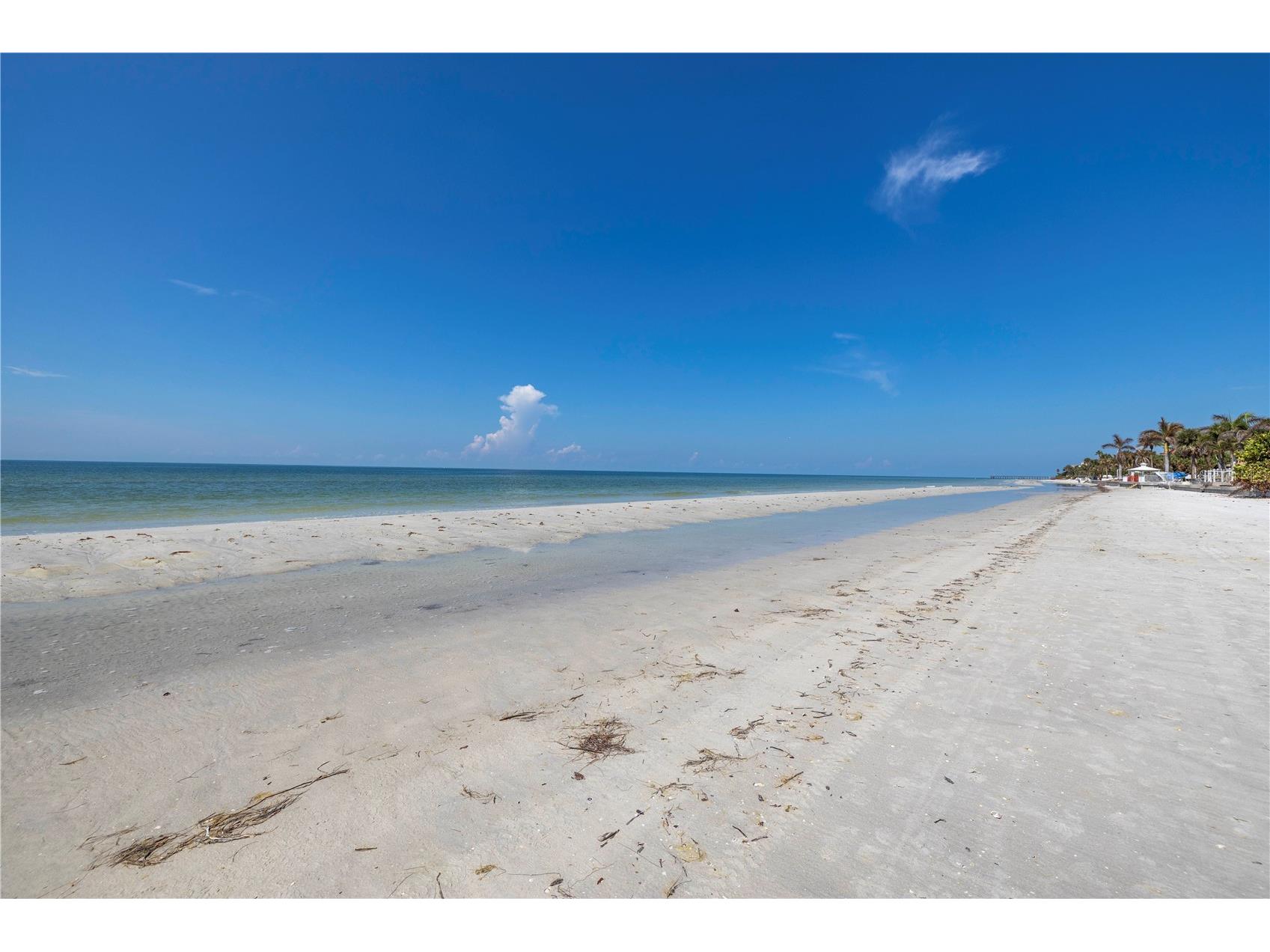 116 145th Avenue E Madeira Beach FL 33708 TB8502705 image14