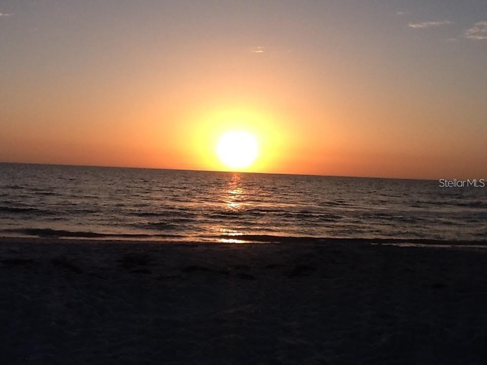 116 145th Avenue E Madeira Beach FL 33708 TB8502705 image16