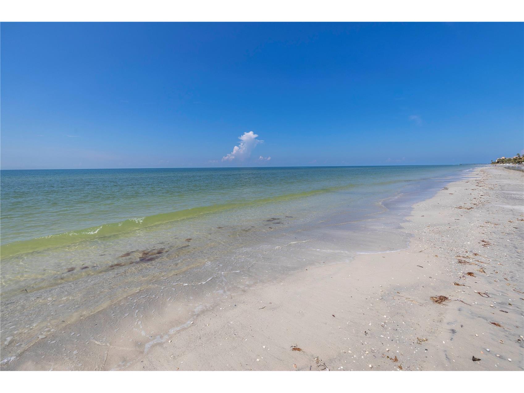 116 145th Avenue E Madeira Beach FL 33708 TB8502705 image2