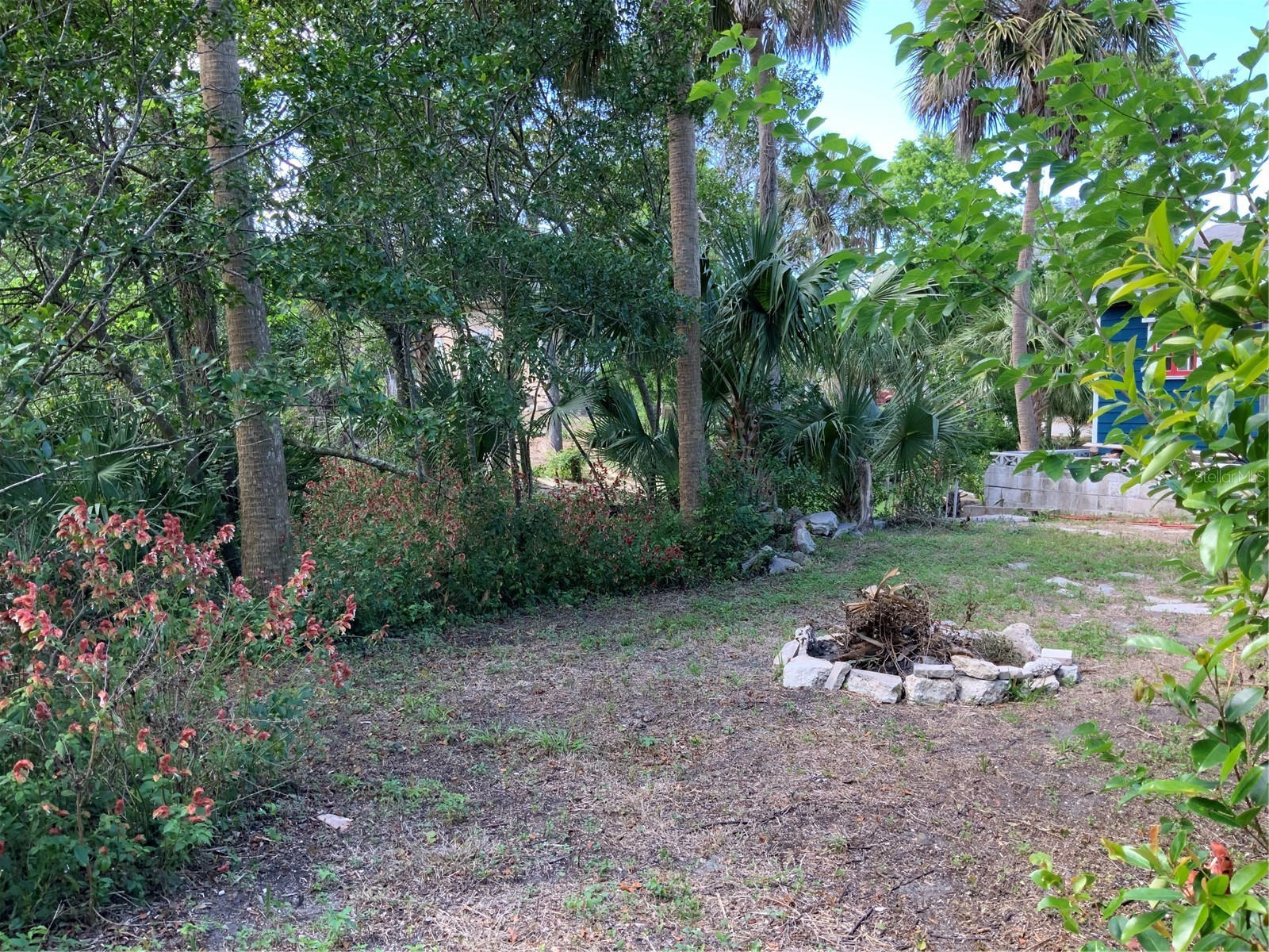 116 Braddock Avenue Daytona Beach FL 32118 FC317785 image3