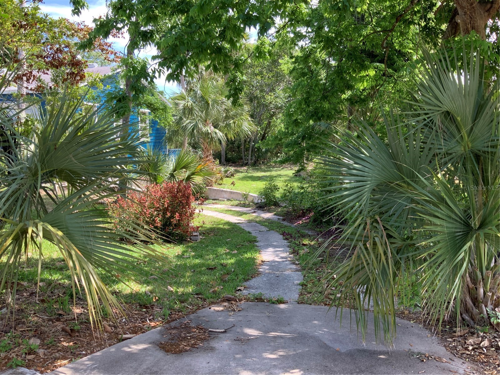 116 Braddock Avenue Daytona Beach FL 32118 FC317785 image6