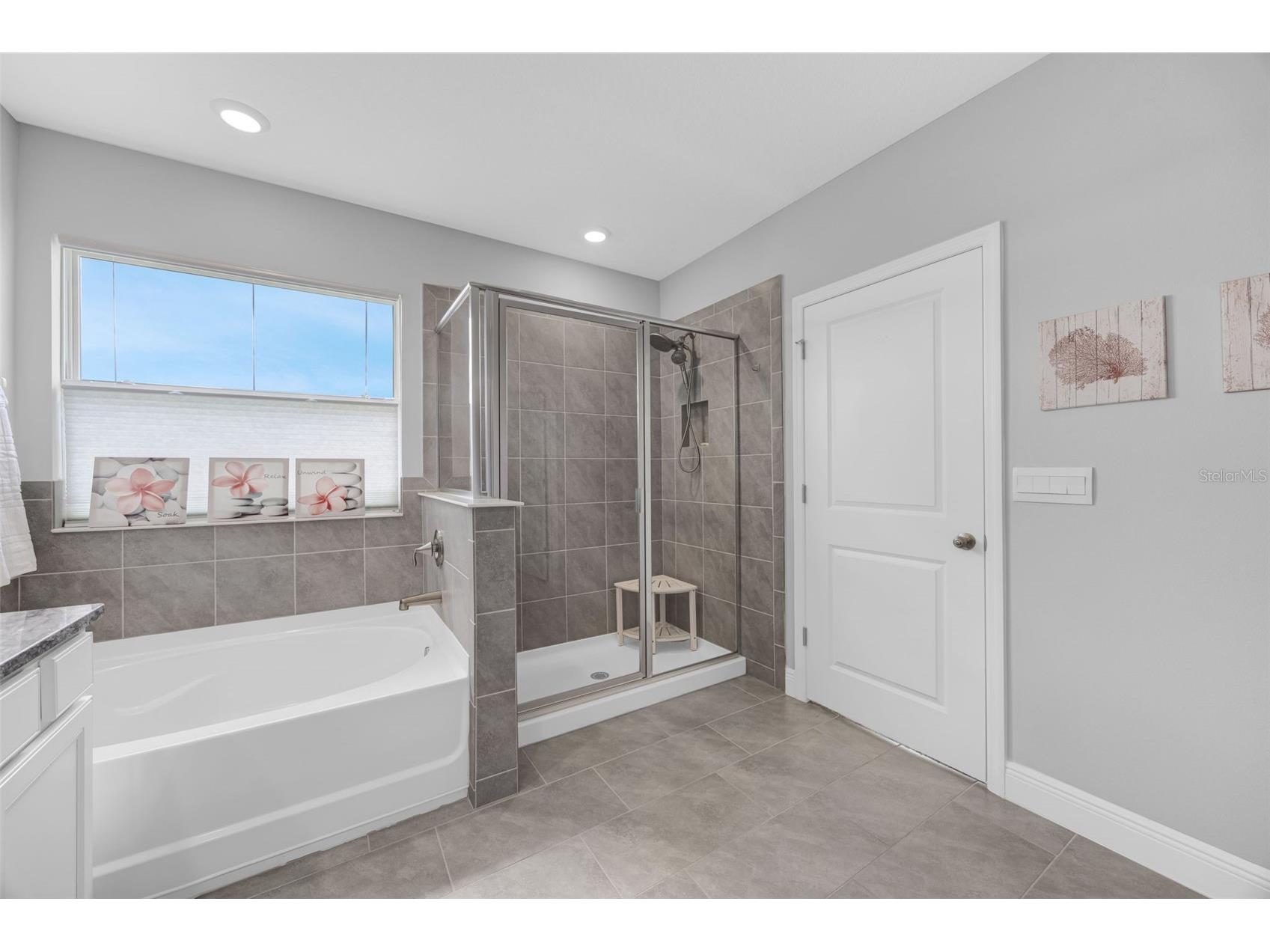 116 Bright Ibis Avenue Apollo Beach FL 33572 S5148663 image37