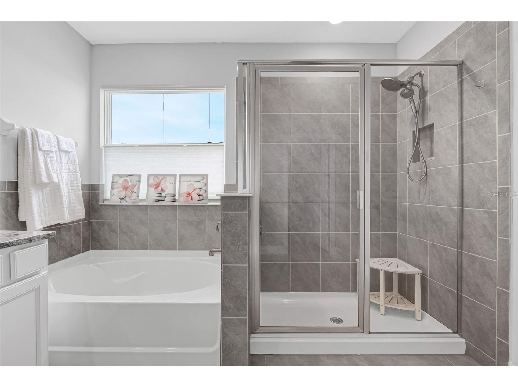 116 Bright Ibis Avenue Apollo Beach FL 33572 S5148663 image38