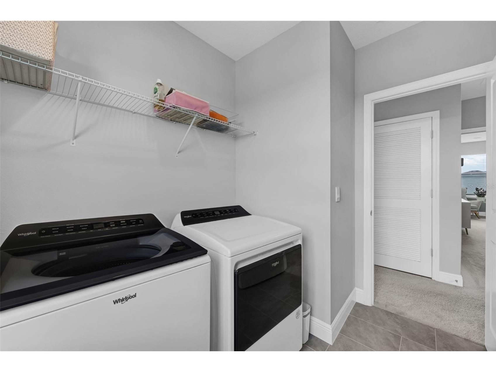 116 Bright Ibis Avenue Apollo Beach FL 33572 S5148663 image41