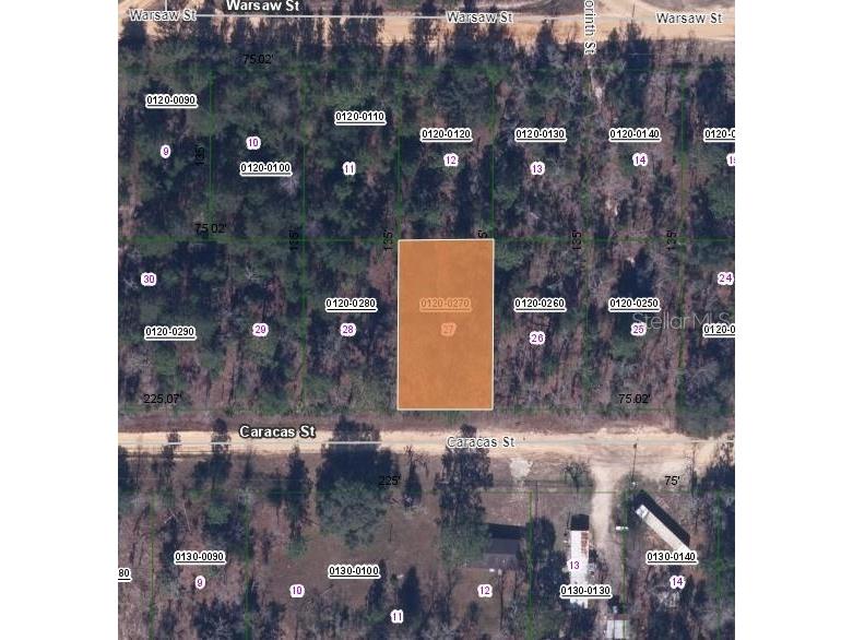 116 Caracas Street Interlachen FL 32148 OM626213 image1