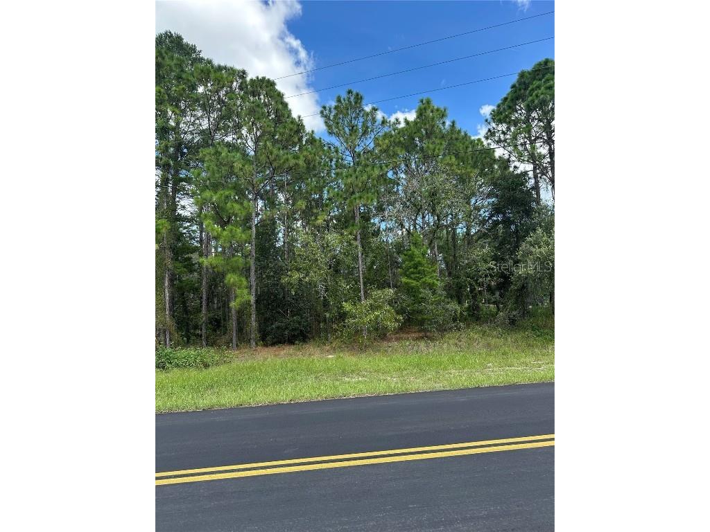 116 Corkwood Homosassa FL 34446 OM706826 image1