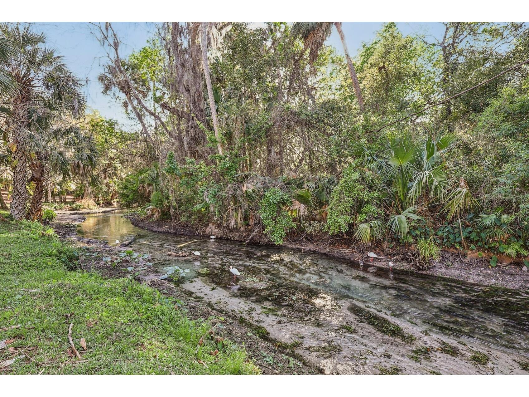 116 Crown Oaks Way #116 Longwood FL 32779 - THE SPRINGS O6391198 image38