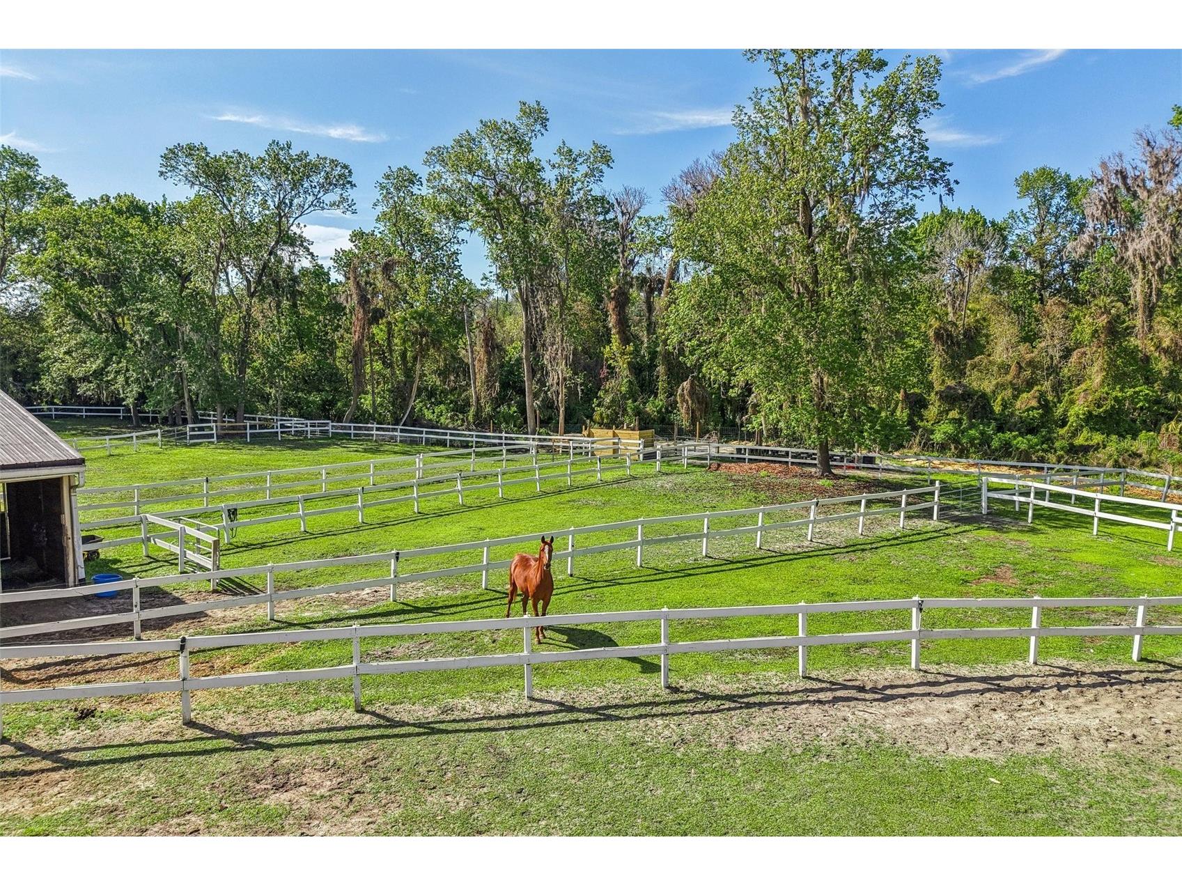116 Crown Oaks Way #116 Longwood FL 32779 - THE SPRINGS O6391198 image46