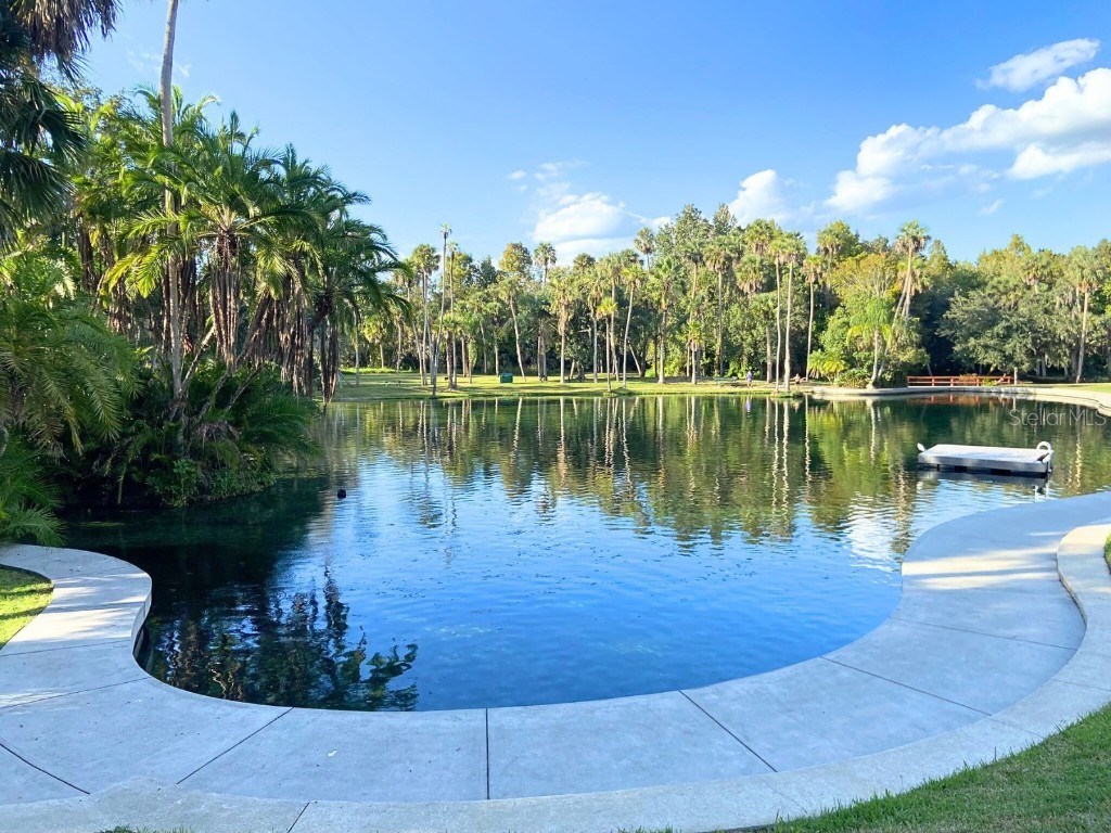 116 Crown Oaks Way #116 Longwood FL 32779 - THE SPRINGS V4945804 image13